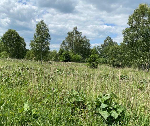 Foto: Kateřina Šindelářová a Pavlína Šámalová