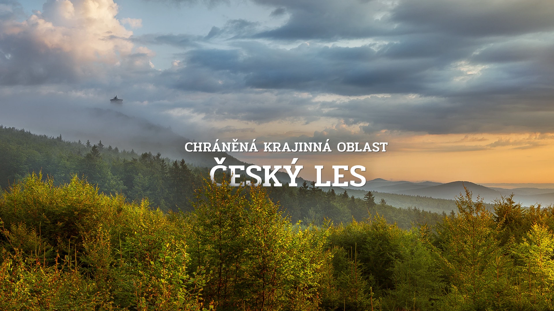 Chráněná krajinná oblast Český les