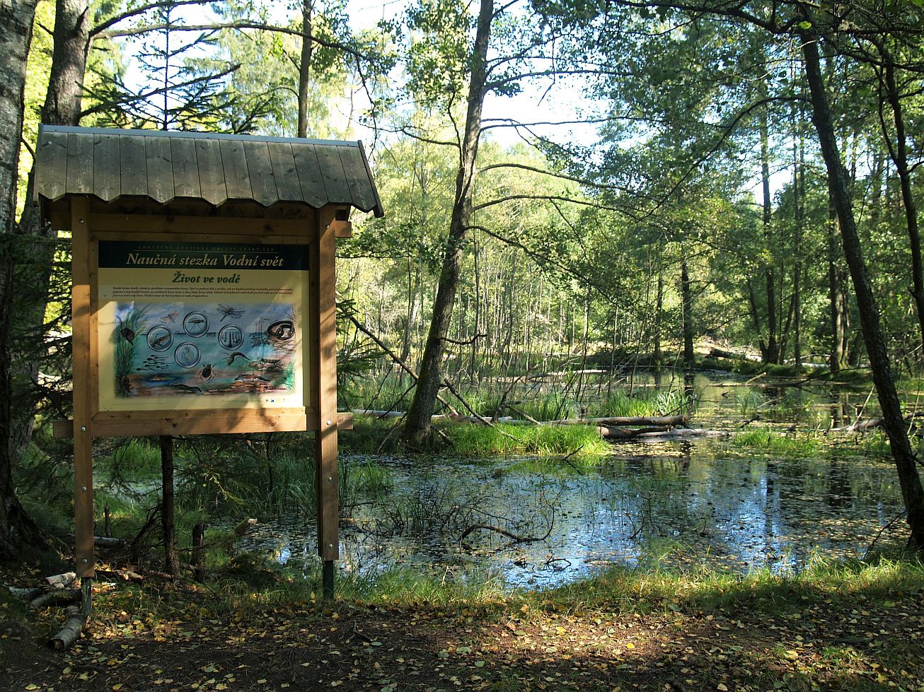 Český les - tůň